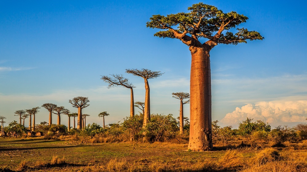 How Madagascar plans to revive its tourism