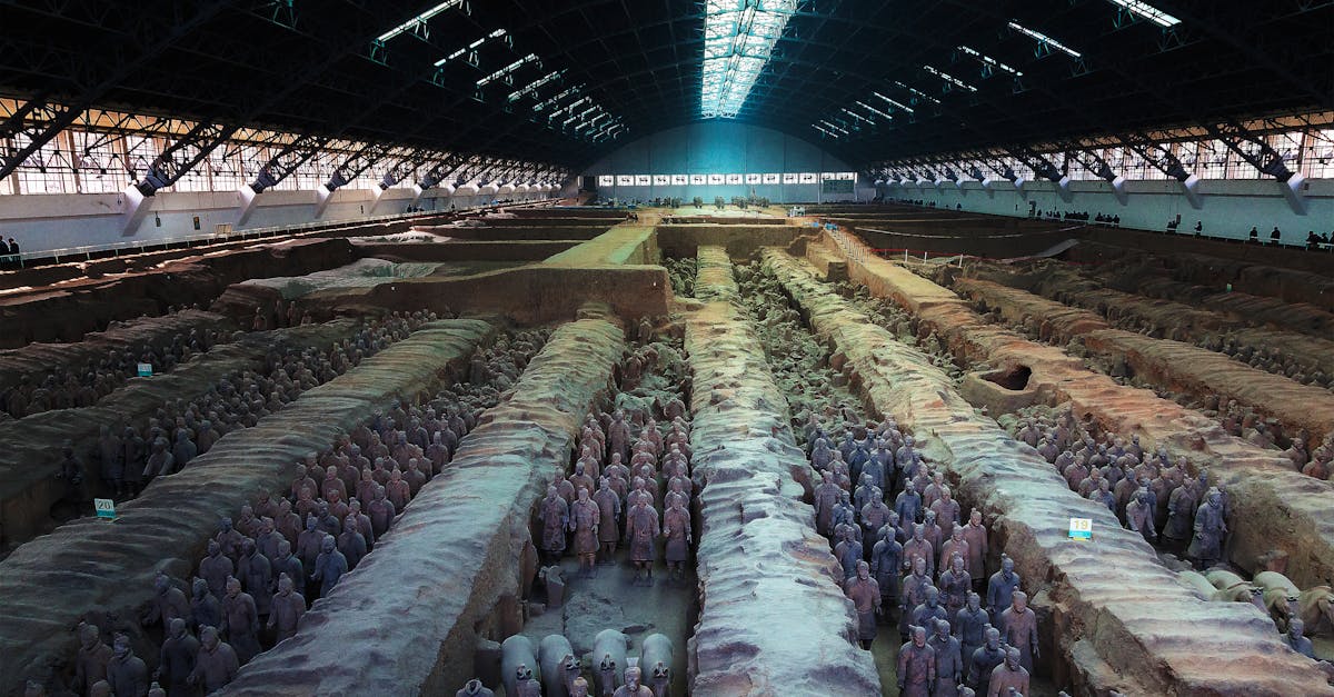 Discover the latest archaeological discoveries that revolutionize our understanding of human history. Immerse yourself in the remains of the past and explore the secrets revealed by these fascinating finds.