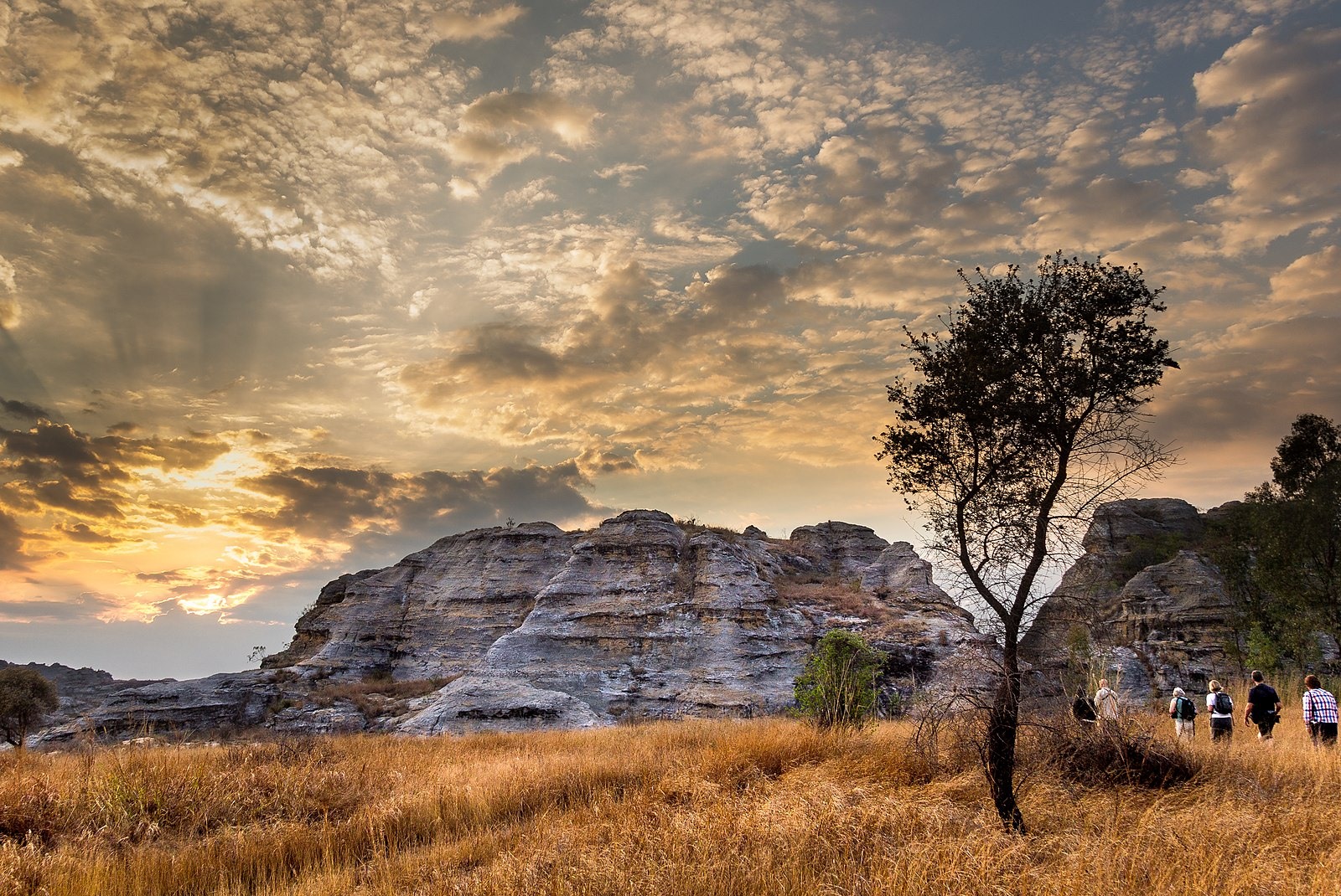 The year 2023 marked by the highlighting of the Madagascar destination ...