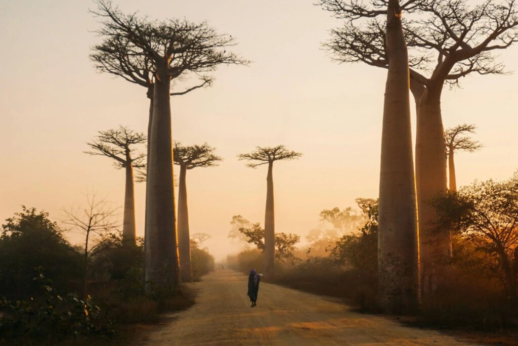 Traveling to Madagascar: What to put in your travel bag?