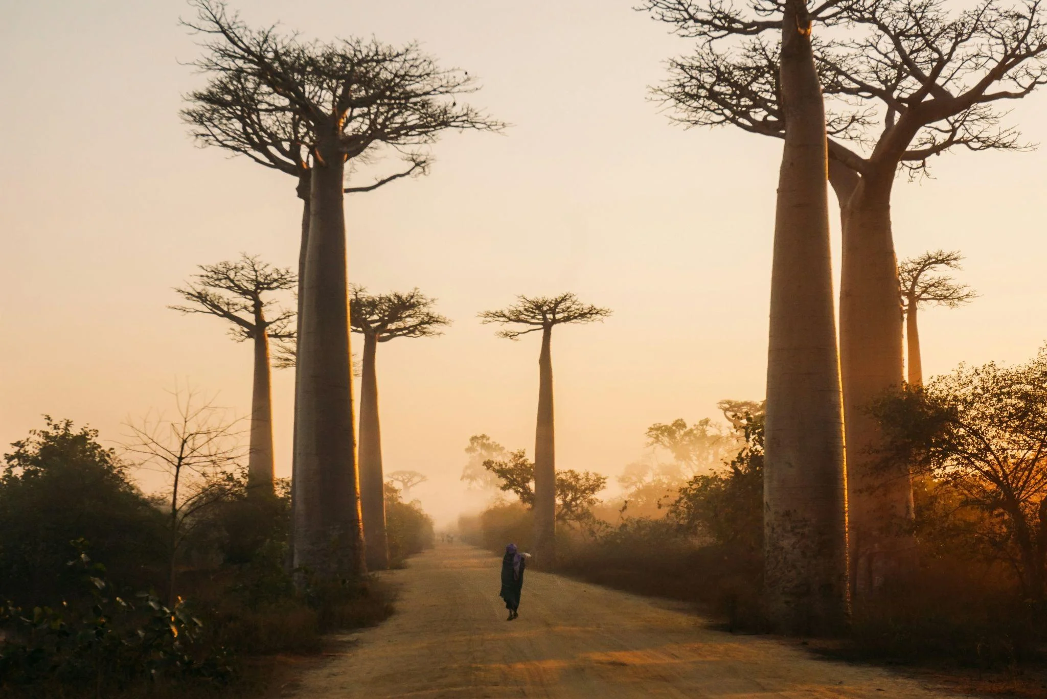 Traveling to Madagascar: What to put in your travel bag?
